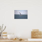 Seagull Flying Photo Poster (Keuken)
