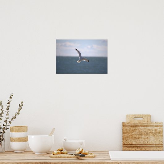 Seagull Flying Photo Poster (Keuken)