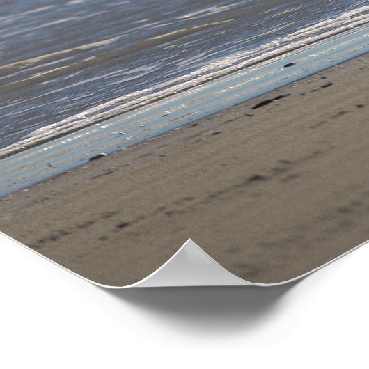 Seagull Flying Photo Poster (Hoek)