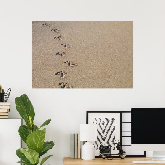 Seagull footprints in the sand poster (Thuiskantoor)