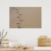 Seagull footprints in the sand poster (Keuken)