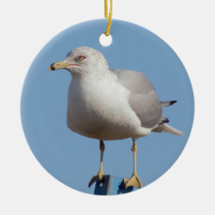 Seagull Foto Keramisch Ornament