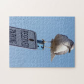 Seagull Foto Legpuzzel (Horizontaal)