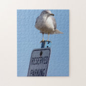 Seagull Foto Legpuzzel (Verticaal)