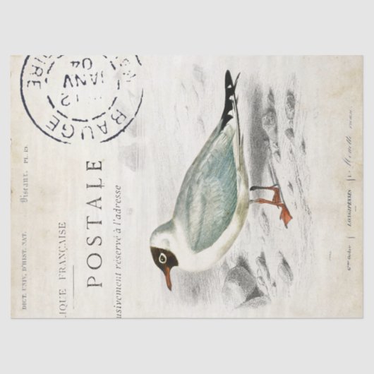 Seagull Franse poststempel Tissuepapier (Voorkant)