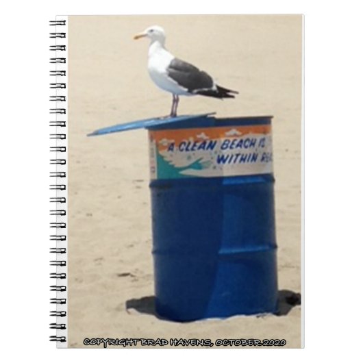 Seagull Guardian in Santa Monica Beach op een hand Notitieboek (Voorkant)