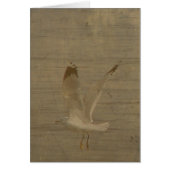 Seagull in Flight All Occasions Kaart (Voorkant)
