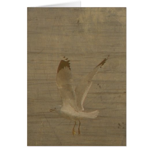 Seagull in Flight All Occasions Kaart (Voorkant)