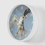 Seagull in Flight Photo (Hoek)