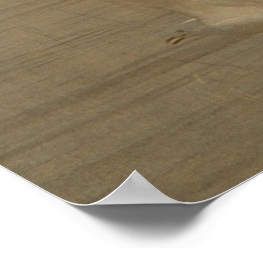 Seagull in Flight Poster (Hoek)