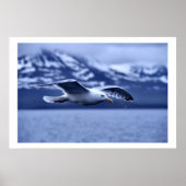 Seagull in Flight Wildlife Art Poster (Voorkant)