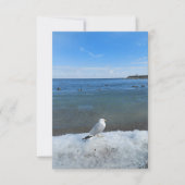 Seagull in het meer in de winter (Voorkant)