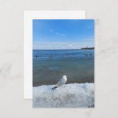 Seagull in het meer in de winter (Voorkant / Achterkant)