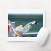Seagull.JPG Muismat (Met muis)