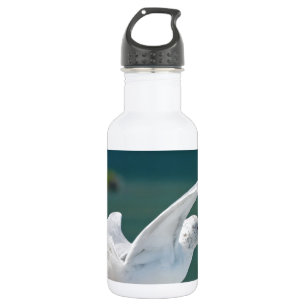 Seagull.JPG Waterfles