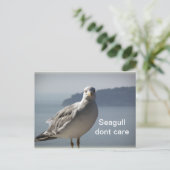 Seagull kan briefkaart niet schelen (Staand voorkant)