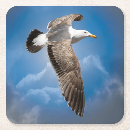 SEAGULL KARTONNEN ONDERZETTERS (Voorkant)