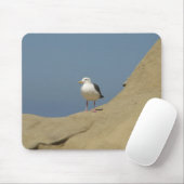 Seagull, La Jolla, Californië Muismat (Met muis)