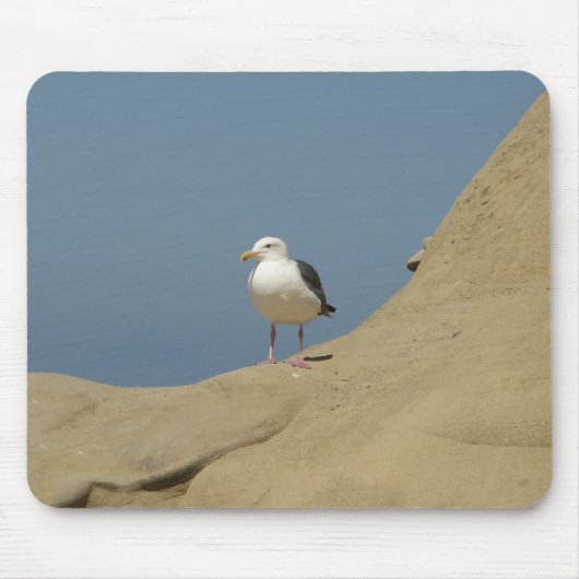 Seagull, La Jolla, Californië Muismat (Voorkant)