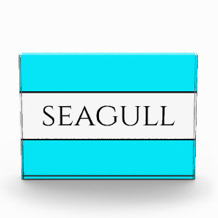SEAGULL Leuk Helder Hemelsblauw Wit Strepen Fotoblokken