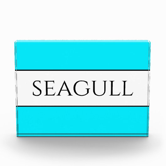 SEAGULL Leuk Helder Hemelsblauw Wit Strepen Fotoblokken (Voorkant)