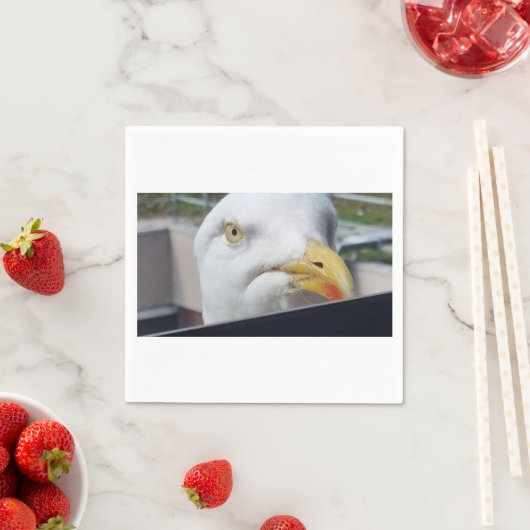 Seagull Looking Servet (Insitu)