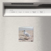 Seagull Magnet (Insitu (Vaatwasser))