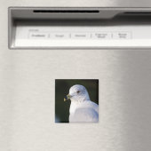 Seagull Magnet (Insitu (Vaatwasser))