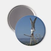 Seagull Magnet (Voorkant / Achterkant)