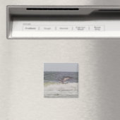 Seagull Magnet (Insitu (Vaatwasser))