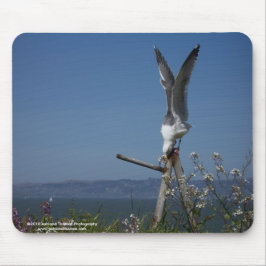 Seagull Mousepad Muismat