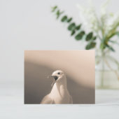 Seagull Natuur Foto Briefkaart (Staand voorkant)