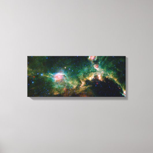 Seagull Nebula NASA Space Canvas Afdruk (Voorkant)