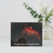 Seagull Nebula Postcard Briefkaart (Staand voorkant)