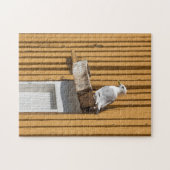 Seagull Noorwegen Legpuzzel (Horizontaal)