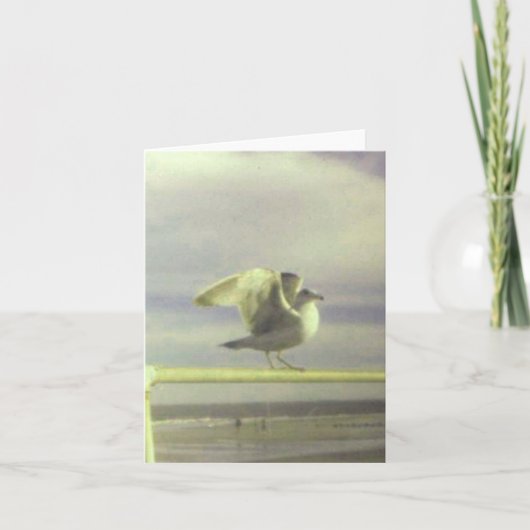 Seagull Note Kaart (Voorkant)