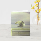Seagull Note Kaart (Gele Bloem)