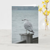 Seagull Note Kaart (Gele Bloem)