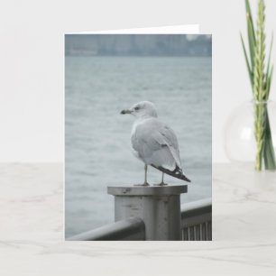 Seagull Note Kaart