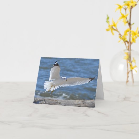 Seagull Notecard Kaart (Gele Bloem)