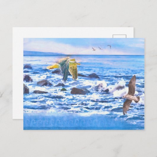 SEAGULL OCEAN PLAYGROUND BRIEFKAART (Voorkant / Achterkant)