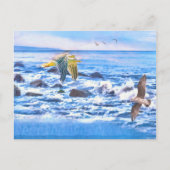 SEAGULL OCEAN PLAYGROUND BRIEFKAART (Voorkant)