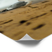 Seagull op Beach, Florida Poster (Hoek)
