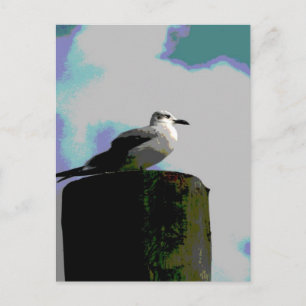 Seagull op een dok geposteriveerde foto briefkaart