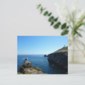 Seagull op het eiland Anacapa op de Kanaaleilanden Briefkaart (Staand voorkant)