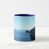 Seagull op het eiland Anacapa op de Kanaaleilanden Mok (Midden)