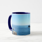 Seagull op het eiland Anacapa op de Kanaaleilanden Mok (Voorkant links)