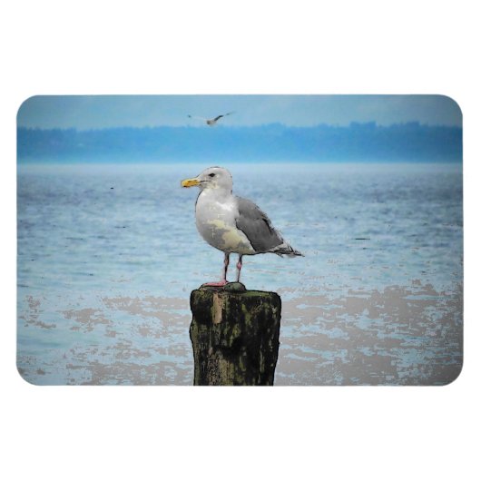 Seagull op Puget Sound Magnet Magneet (Horizontaal)