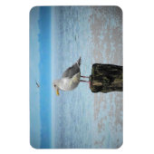 Seagull op Puget Sound Magnet Magneet (Verticaal)
