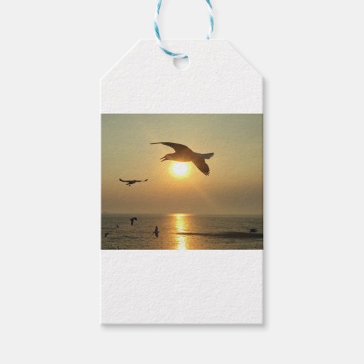 Seagull op Sunset Cadeaulabel (Voorkant)
